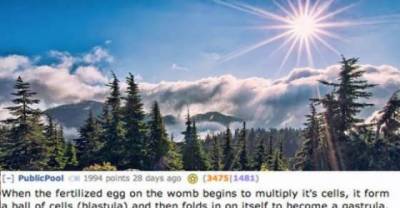 Crazy facts about the human body you definitely don't know about