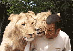 What happens to that one sober friend who goes out with you on nights out