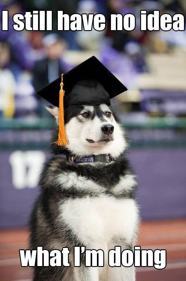 that feeling on graduation day..