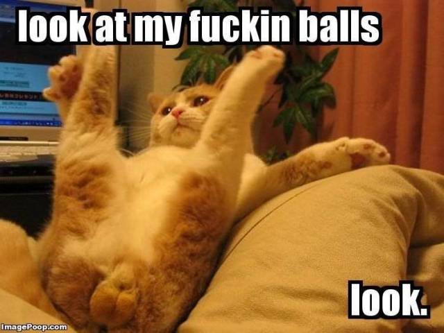 How I feel wearing these trendy skinny jeans and skinny pants...