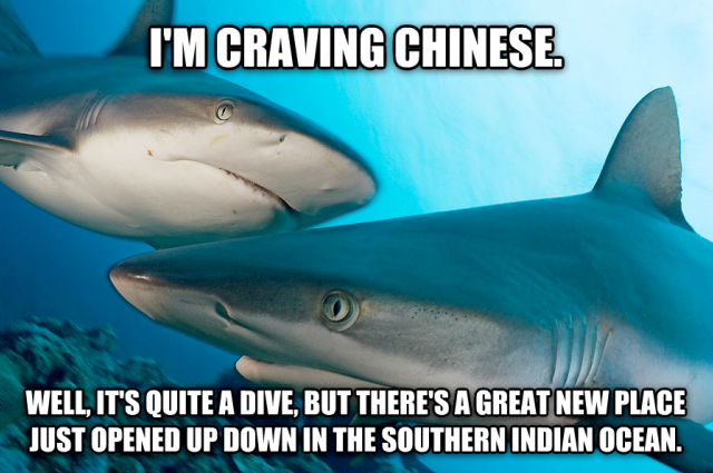 I hope all of China has enjoyed their shark fin soup because payback’s a bi*ch.