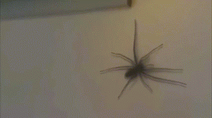 A game of nope!