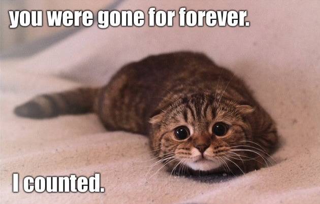 Every time girlfriend is away for the weekend.