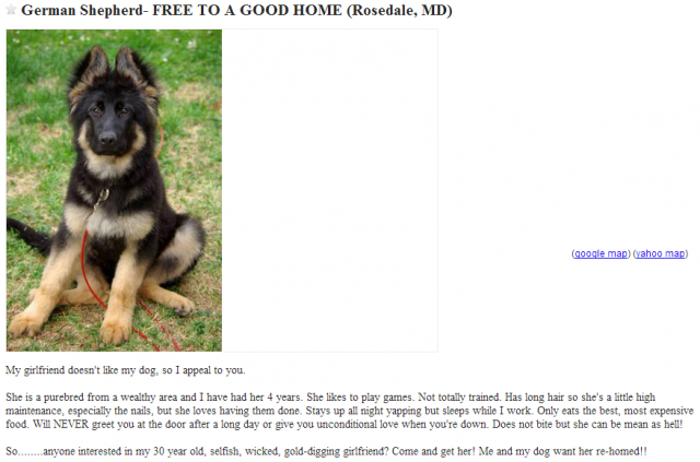 Free bi*ch to a good home