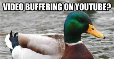  Advice Mallard Memes That Are Spot On