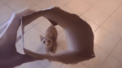 Let me try that on for size