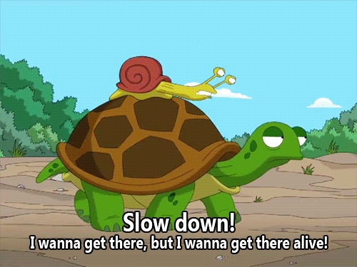 The Snail and the Tortoise