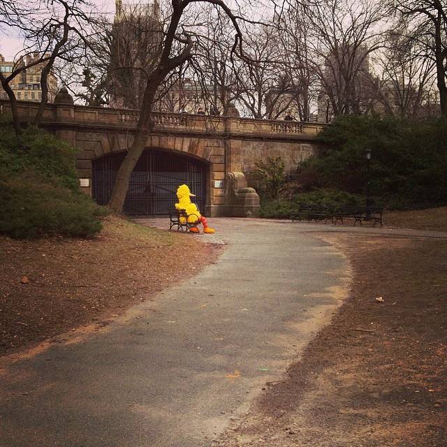 Even Big Bird needs to be alone sometimes.