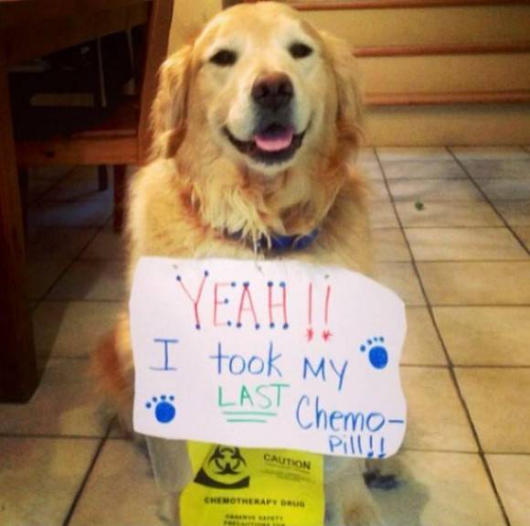 That's a cancer free smile!