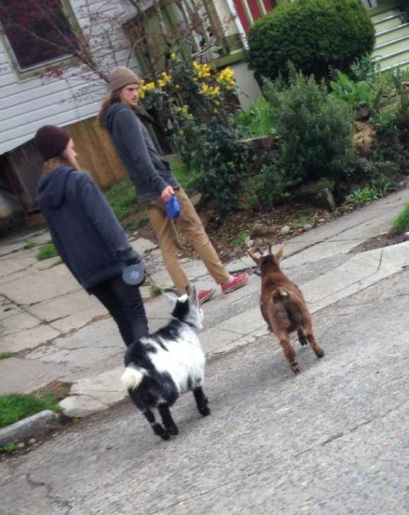 Only in Portland