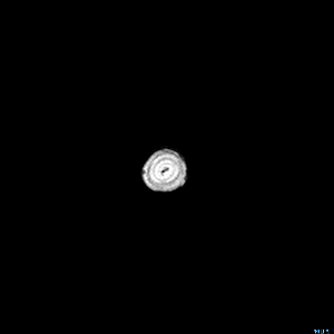 This is an MRI scan of a banana. It’s fascinating.