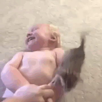 Battle with the hairless giant