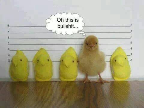 Never trust the police.