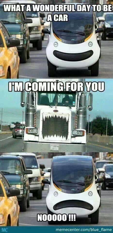 What a wonderful day to be a car!