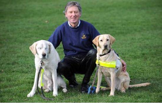 Seeing-eye dog loses both eyes, owner gets another to see for them all.