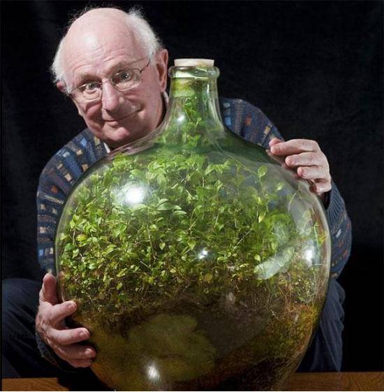 80-Year-Old Man Hasn’t Watered This Sealed Bottle Garden Since 1972 And It’s Still Alive