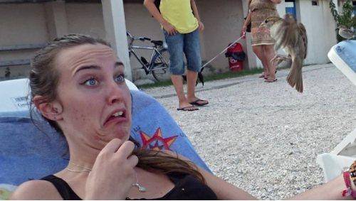 Bird teases woman