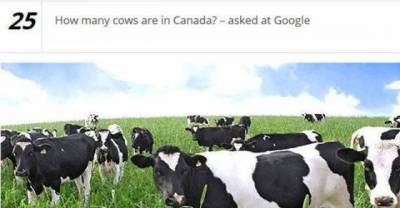 The Oddest Interview Questions , That Are Impossible to Answer