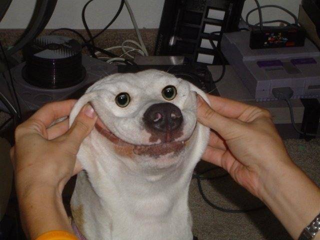 Smile for the camera