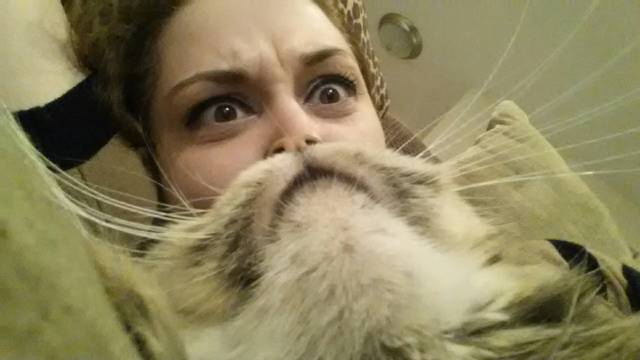 I've finally grown a cat beard.