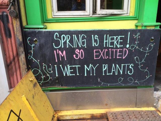 Spring is here!
