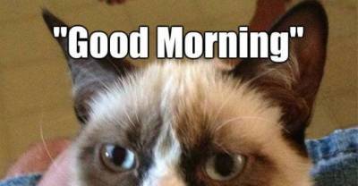Morning Memes That Will Make You Like Morning A Little More