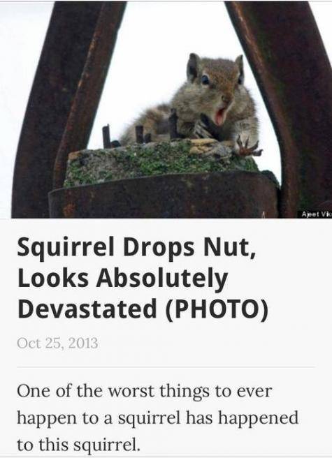 oh noes