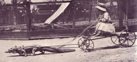The early 1900s were a hell of a time.