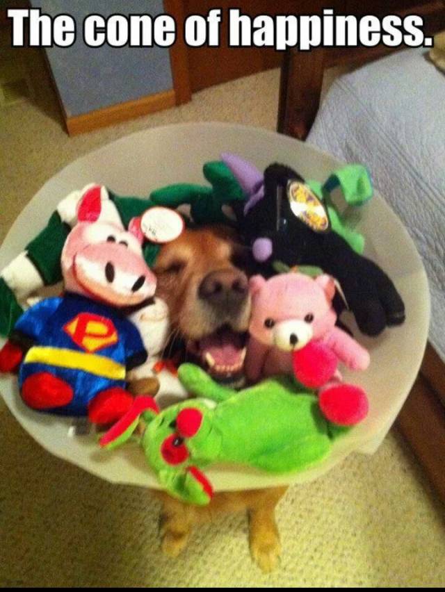 The cone of happiness