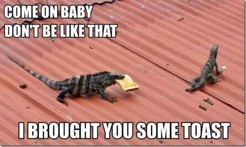 This is what my boyfriend sends me after we get into a fight.