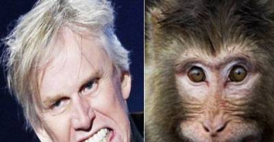 Celebrities Who Best Resemble Animals