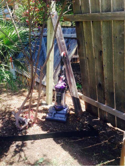 How I kept my dog from leaving through our broken fence.