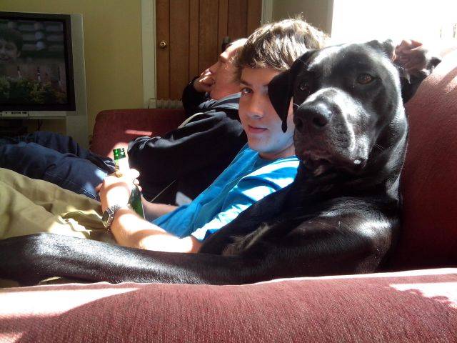 Yeah... If you could fetch me another beer, that'd be great..