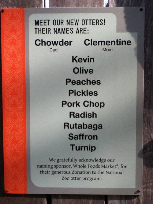 The new zoo otters are all named after food except...