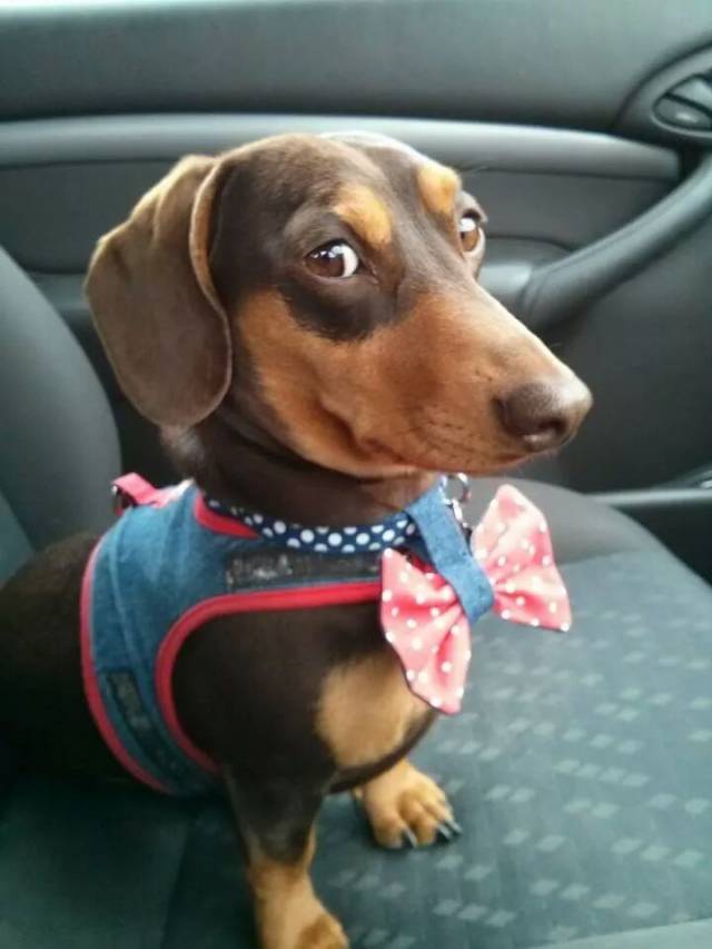 Ready for the party!