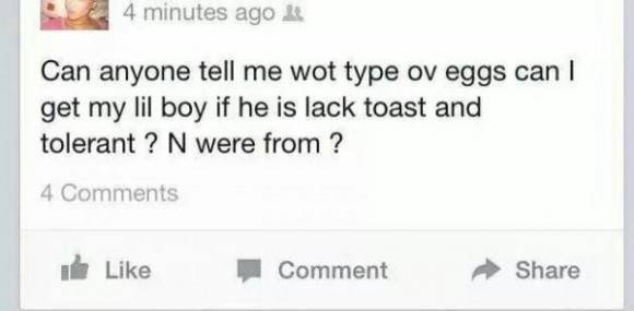 What type of eggs does she need?