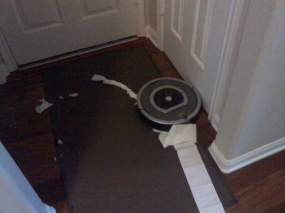 So, I just got home and there’s torn toilet paper everywhere and I know I put up my dogs in their kennels. I turn the corner and find this little f*cker, looking guilty as hell!