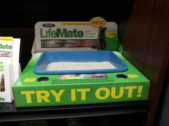 Do you...do you want me to poop in it?