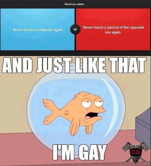 I think most of us on here would become gay.