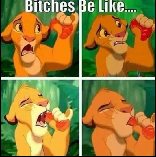 This is probably the most accurate the internet has been in awhile.