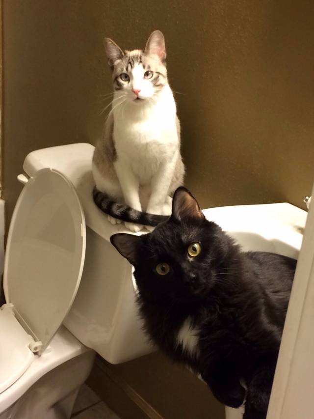 Uh, could you give us a minute, Please!?
