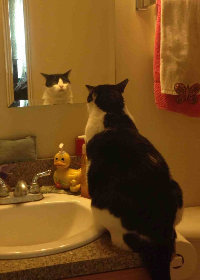 He looked in the mirror and his expression was priceless.
