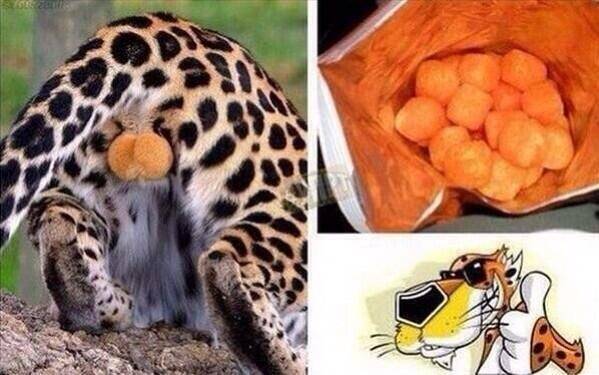 This image will now always be in my head when I eat cheese balls.