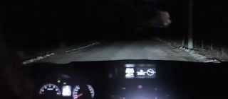 Who let this bitch drive?