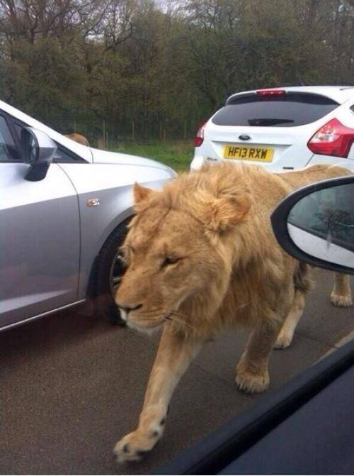 Making my way downtown, walking fast, faces pass and I’m home bound.