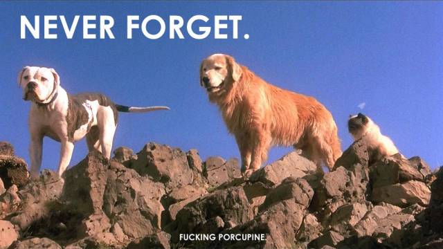Never forget.