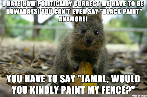 Politically Incorrect