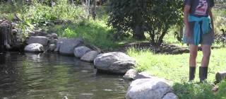Neglected ducks see water for the first time.