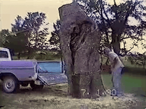 Sawing a tree trunk directly into the bed of a pickup, what could go wrong?