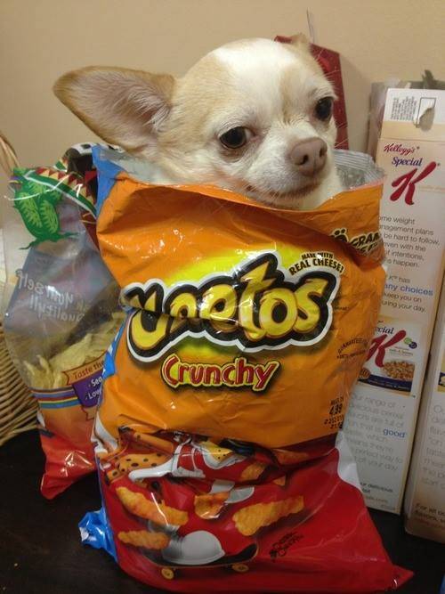 A face of no regrets.